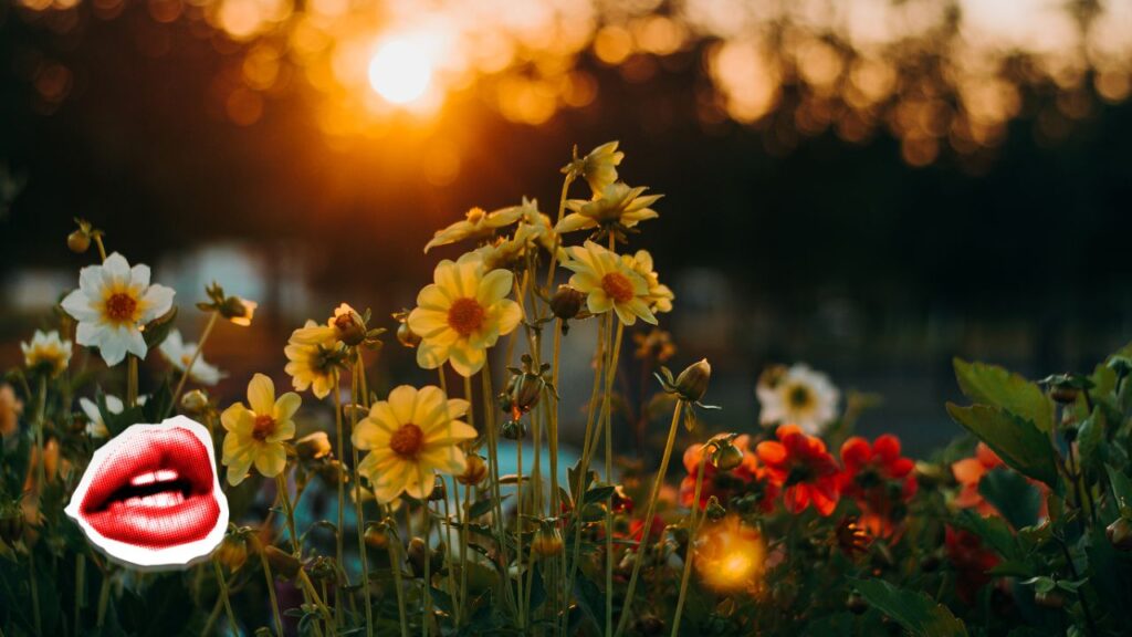 o que é sonhar com flores