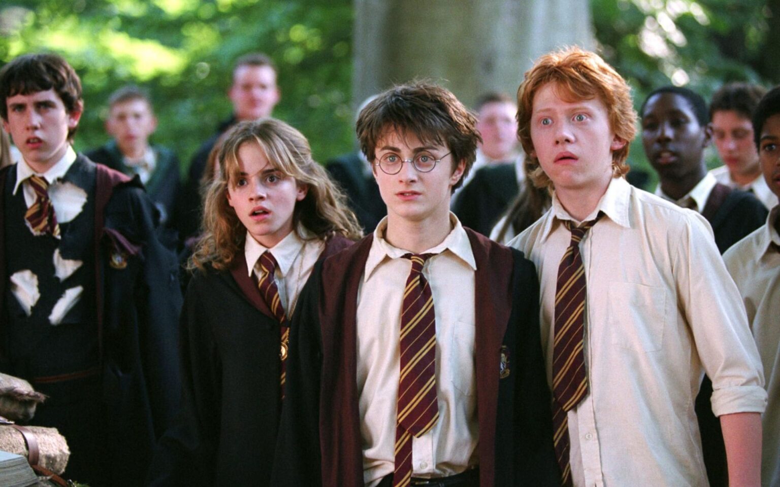 Harry Potter ordem para assistir