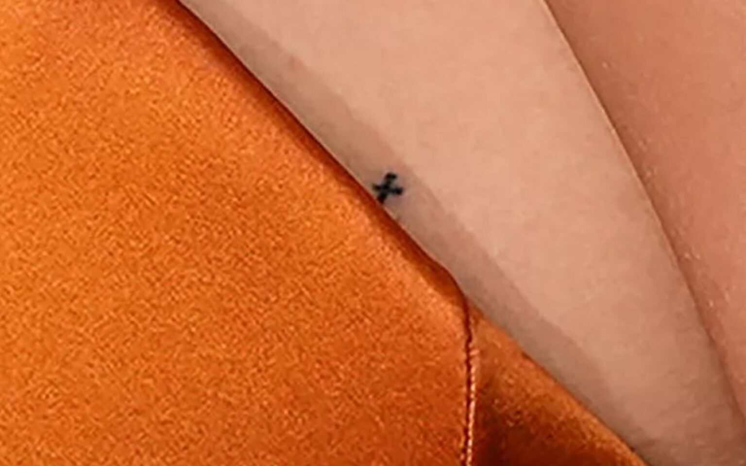 Tom Holland e Zendaya fizeram tatuagem antes do noivado